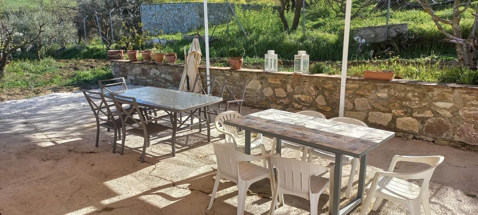 Patio, Spring, Day, Garden, View (from property/room), Balcony/Terrace, Dining area, Garden view