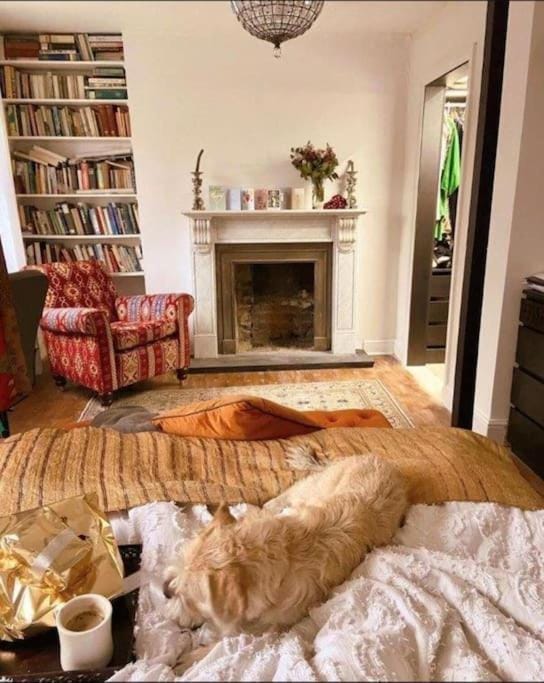 Bed, Photo of the whole room, Bedroom, flat iron, wardrobe
