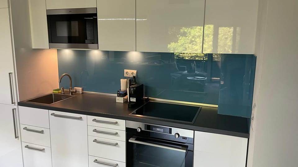 Kitchen or kitchenette, dishwasher, minibar, pet friendly, stove