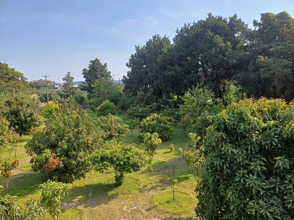 Natural landscape, Garden, Garden view