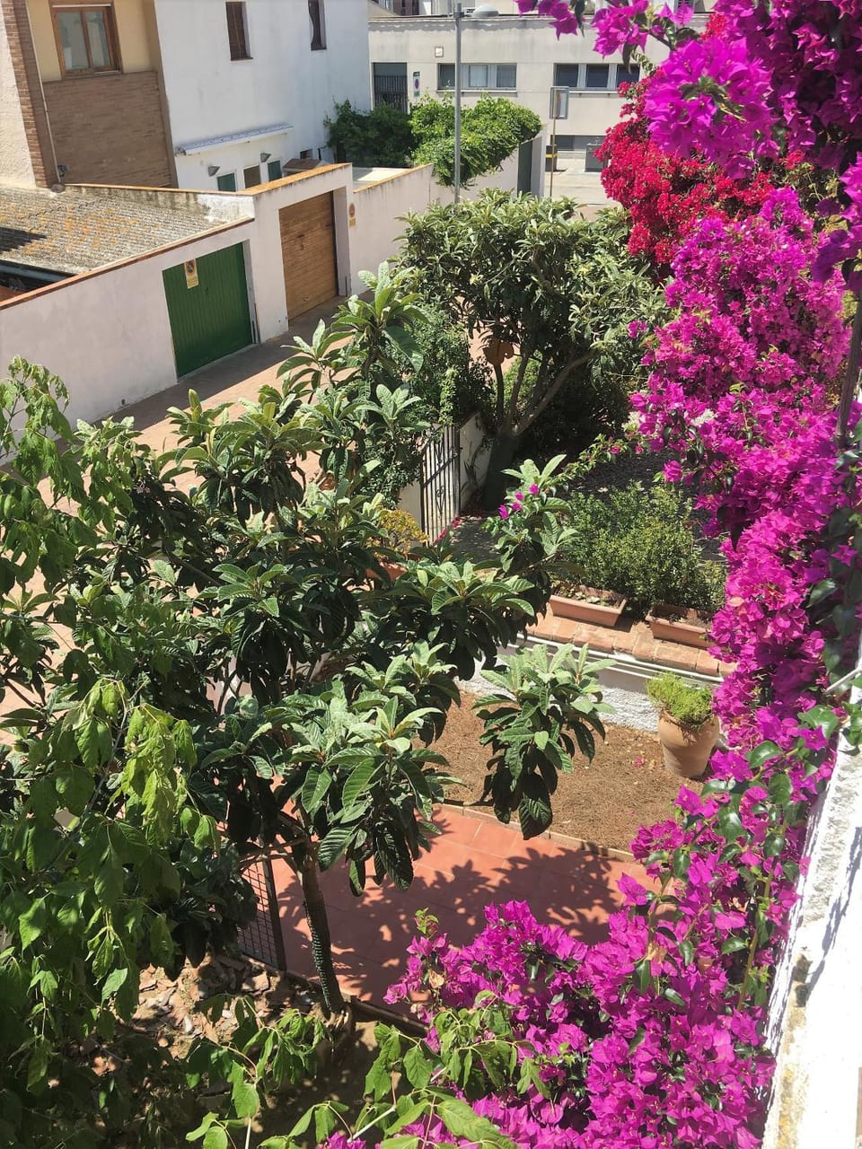 Garden view