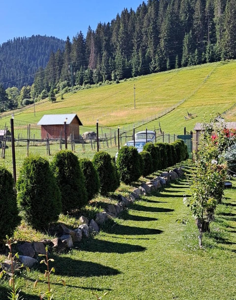 Studio Casa Mia Vacation rental in Romania