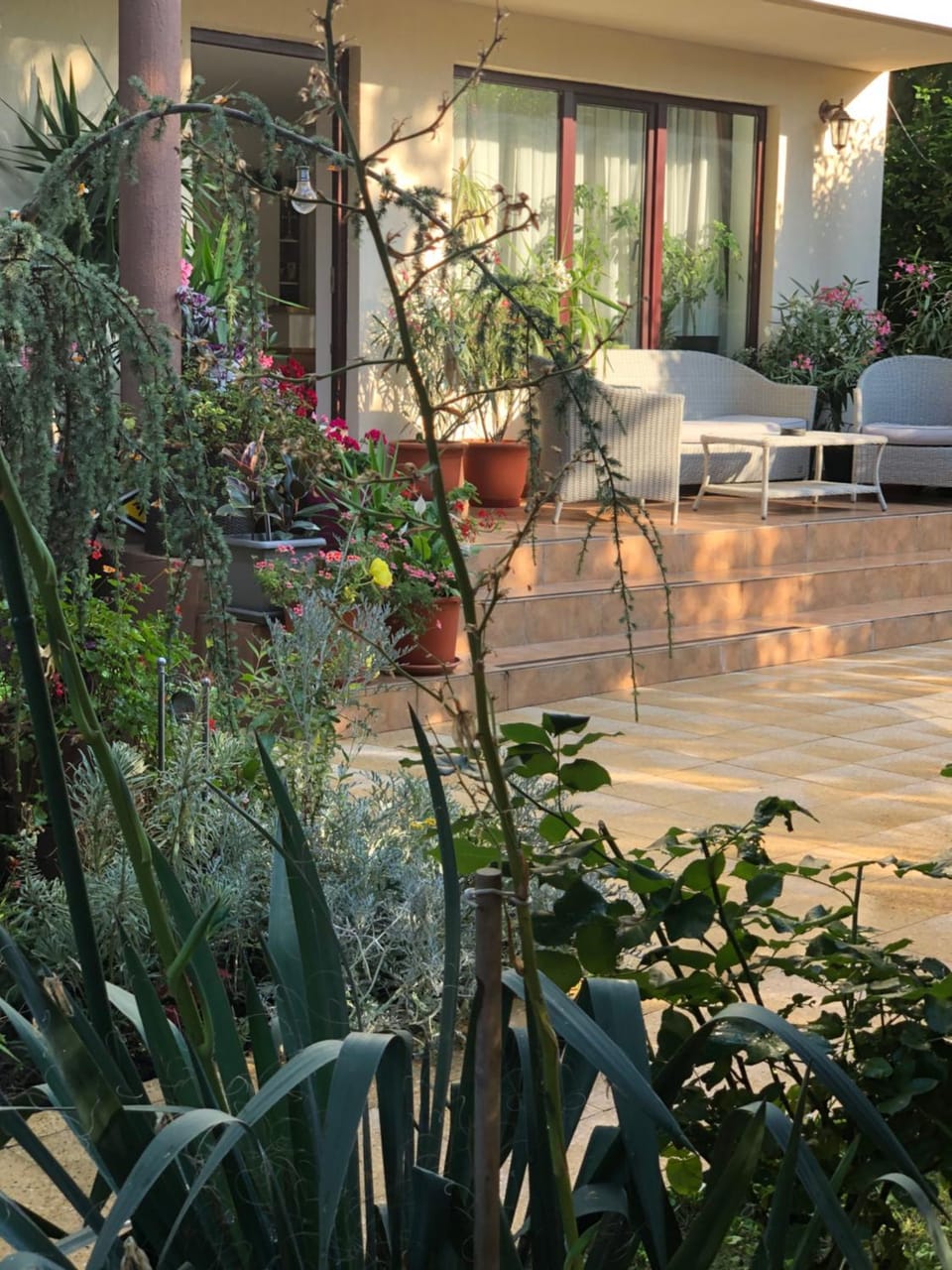 Vila Dorian Bed and Breakfast in Constanța County