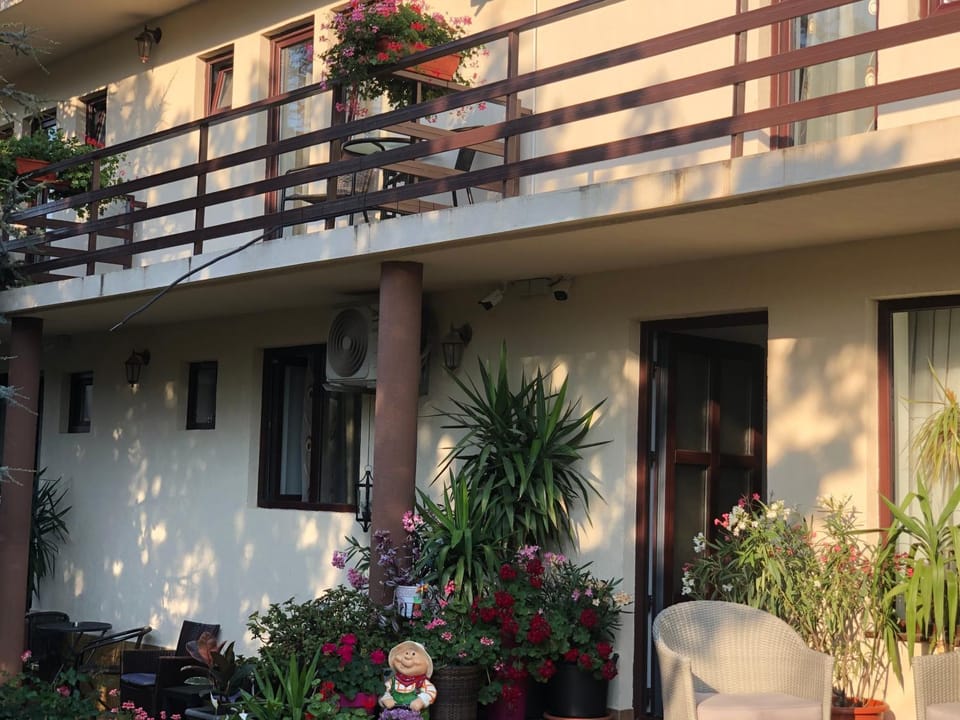 Vila Dorian Bed and Breakfast in Constanța County