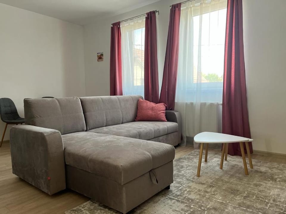 Sabina Apartaments Apartment in Brașov County
