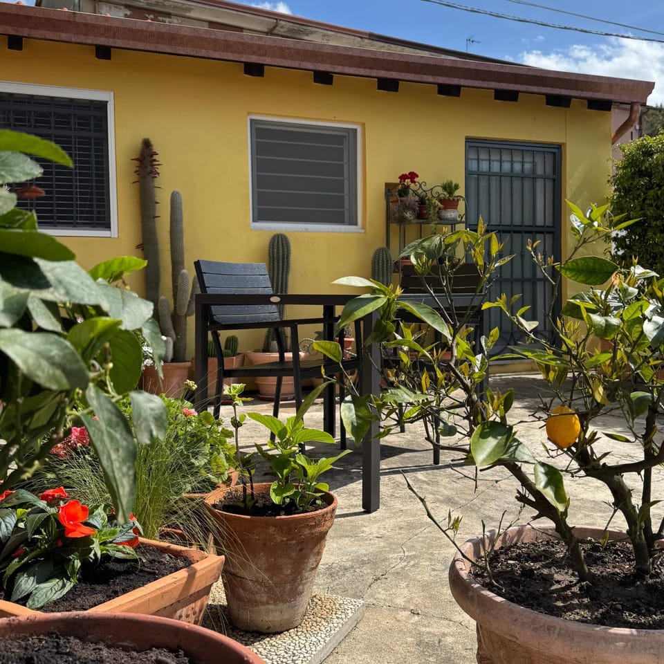 Garden view
