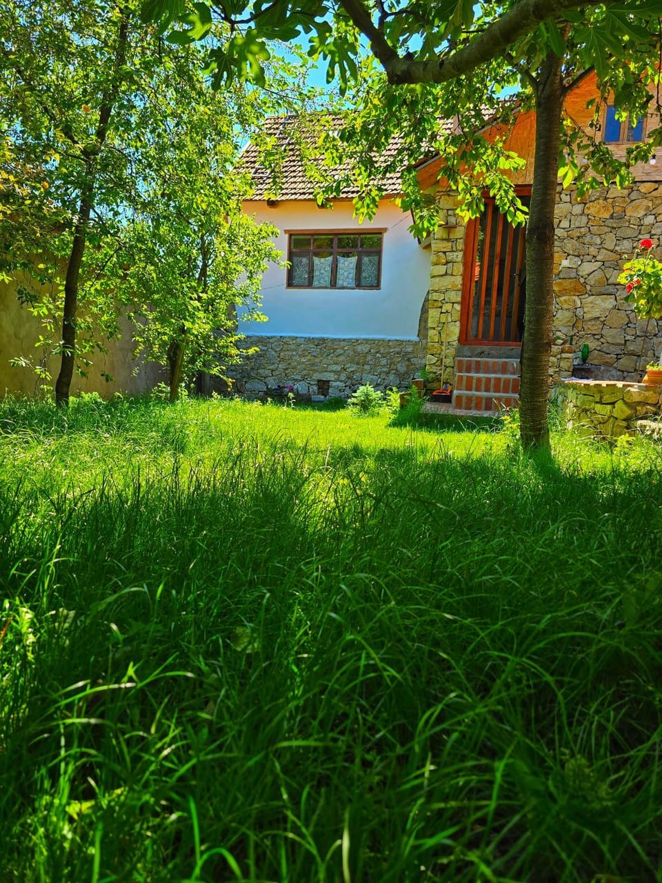 CasaGeo Cheile Nerei House in Romania