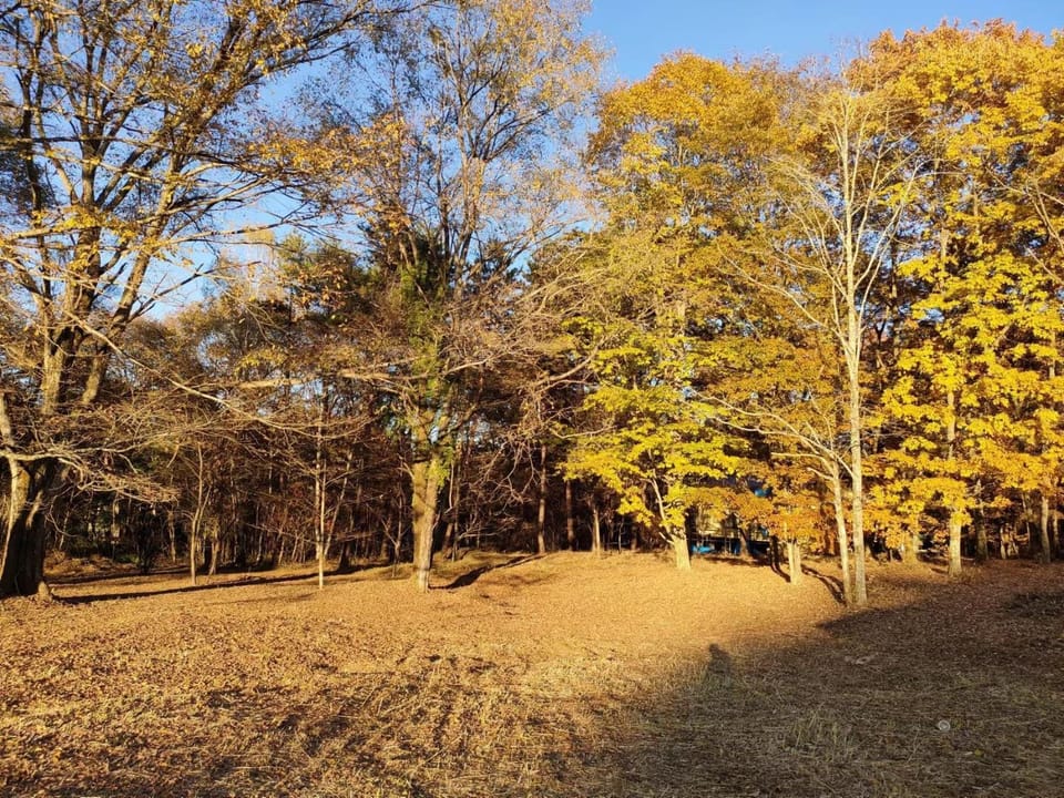 Mori no Komei campsite - Vacation STAY 04454v House in Nagano Prefecture