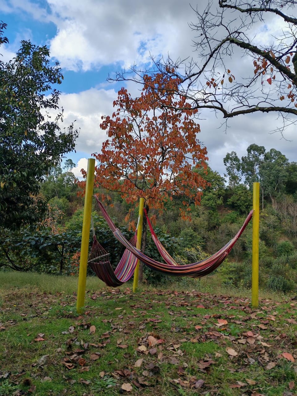 Natural landscape, Garden view