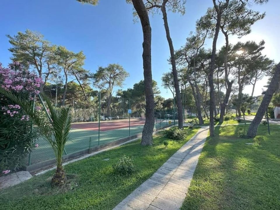 Natural landscape, Garden, Tennis court