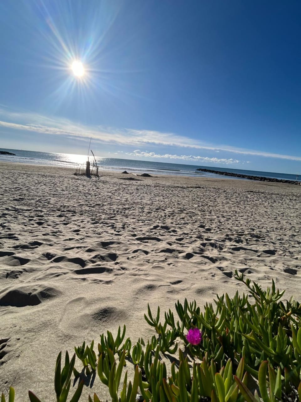 Natural landscape, Beach