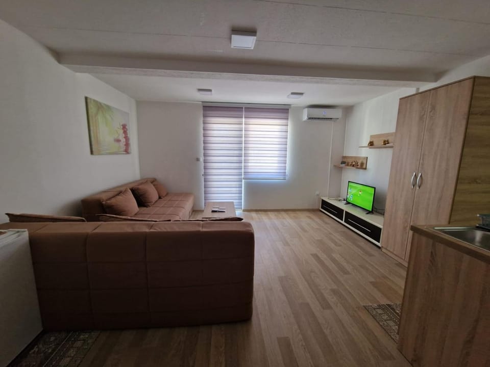 Studio Petrovac Apartment in Serbia