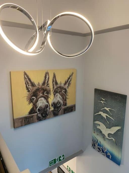 Beautifully Refurbished 6 Bed 5 Bath St Albans Apartment in St Albans