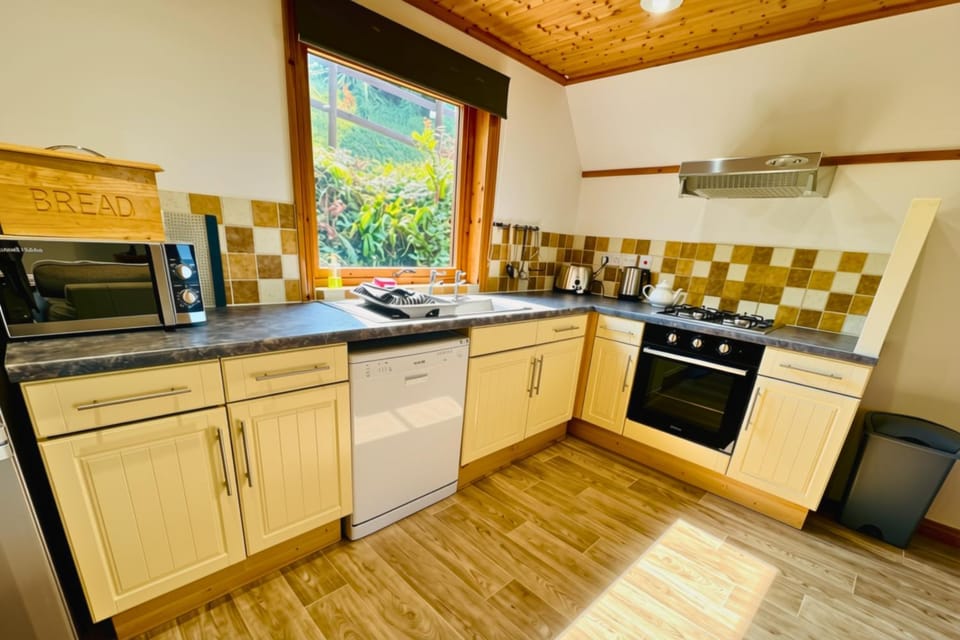 Kitchen or kitchenette, dishwasher, oven, stove, toaster