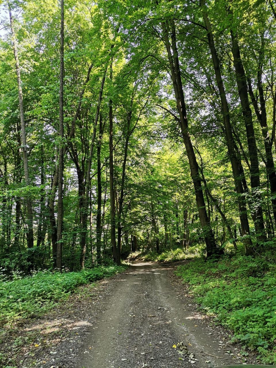 Natural landscape