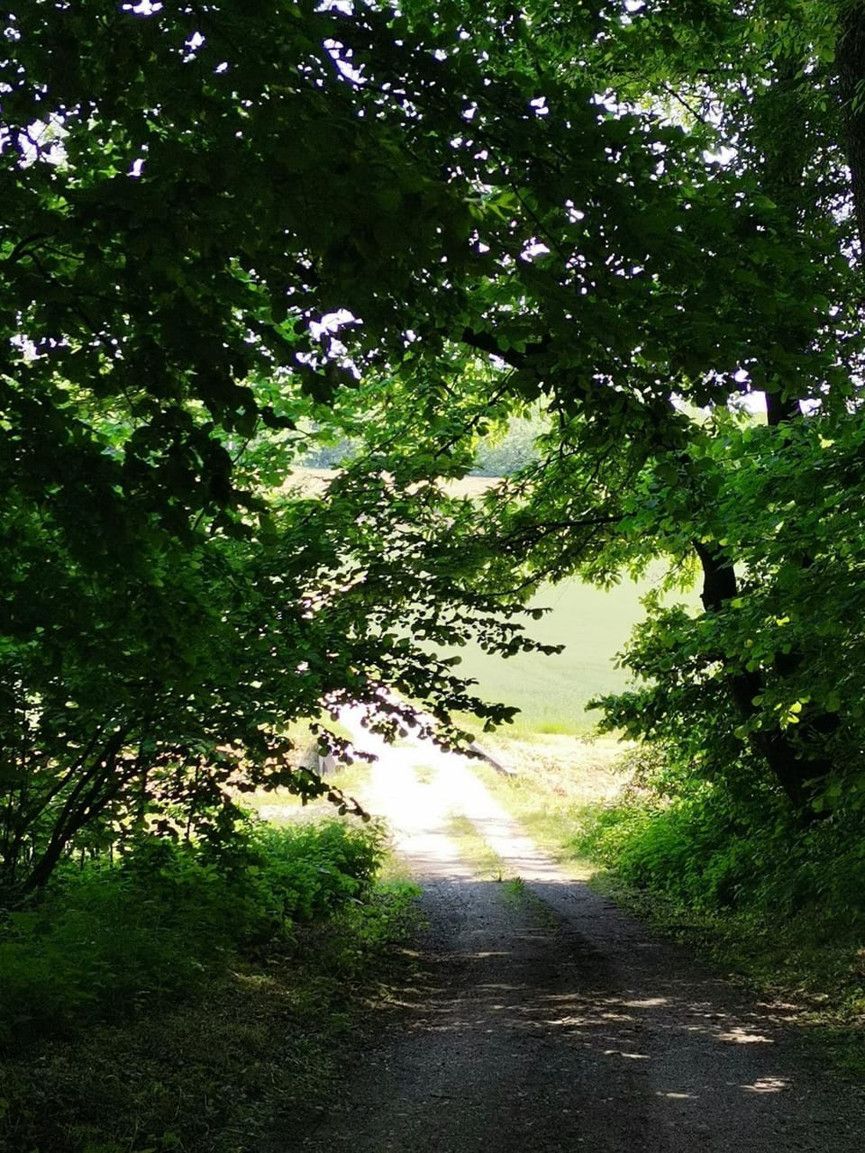 Natural landscape