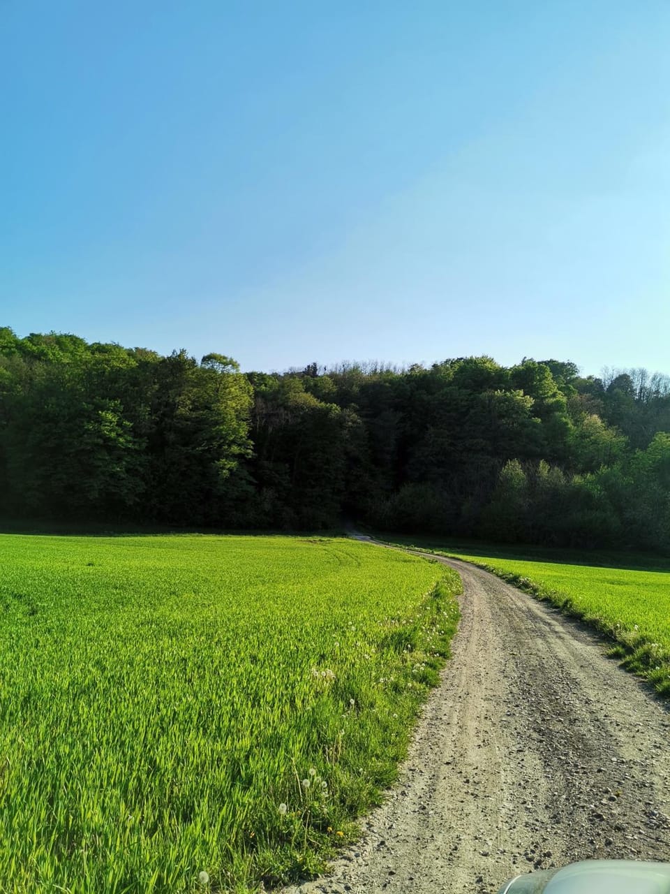 Natural landscape