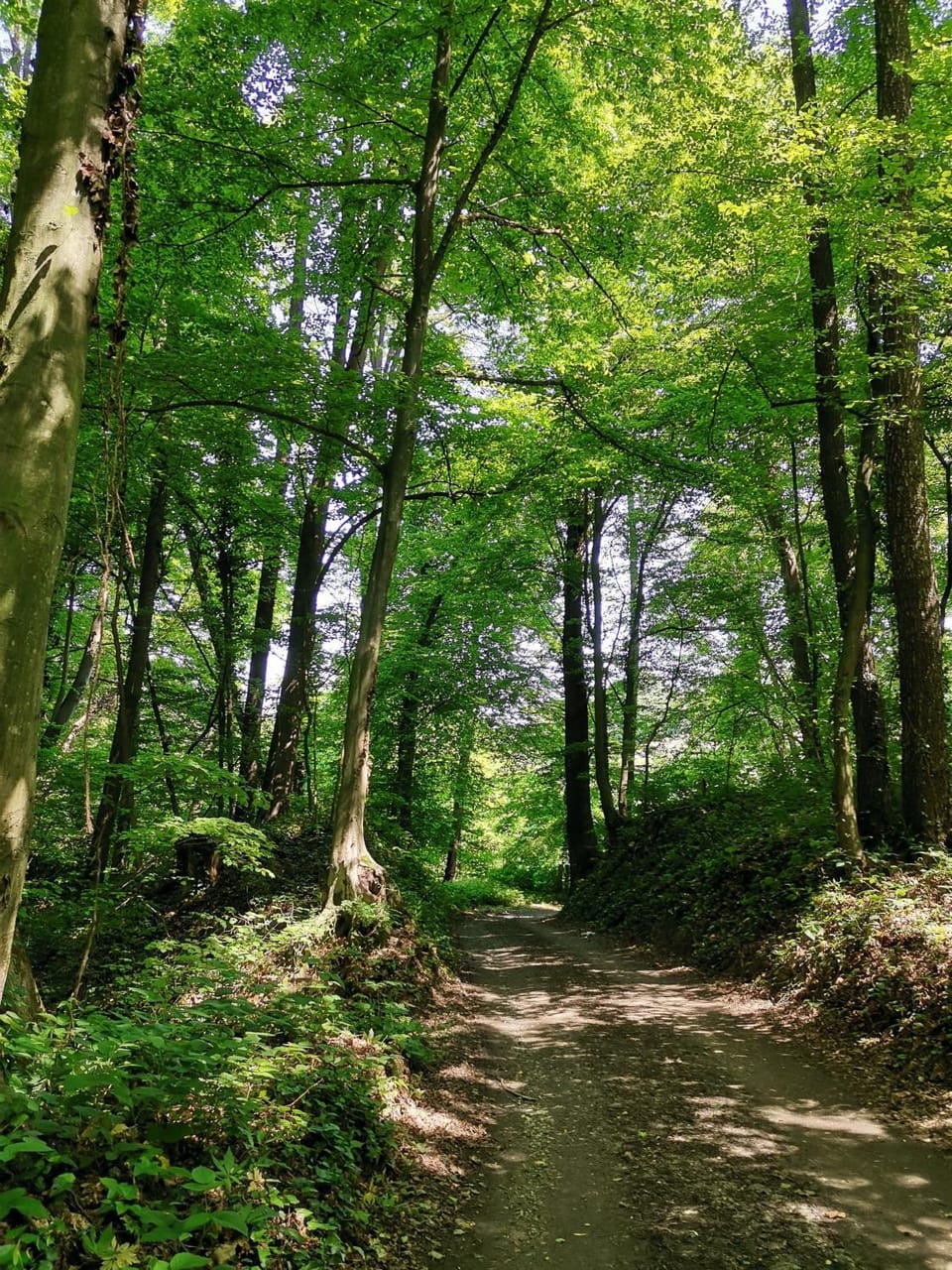 Natural landscape