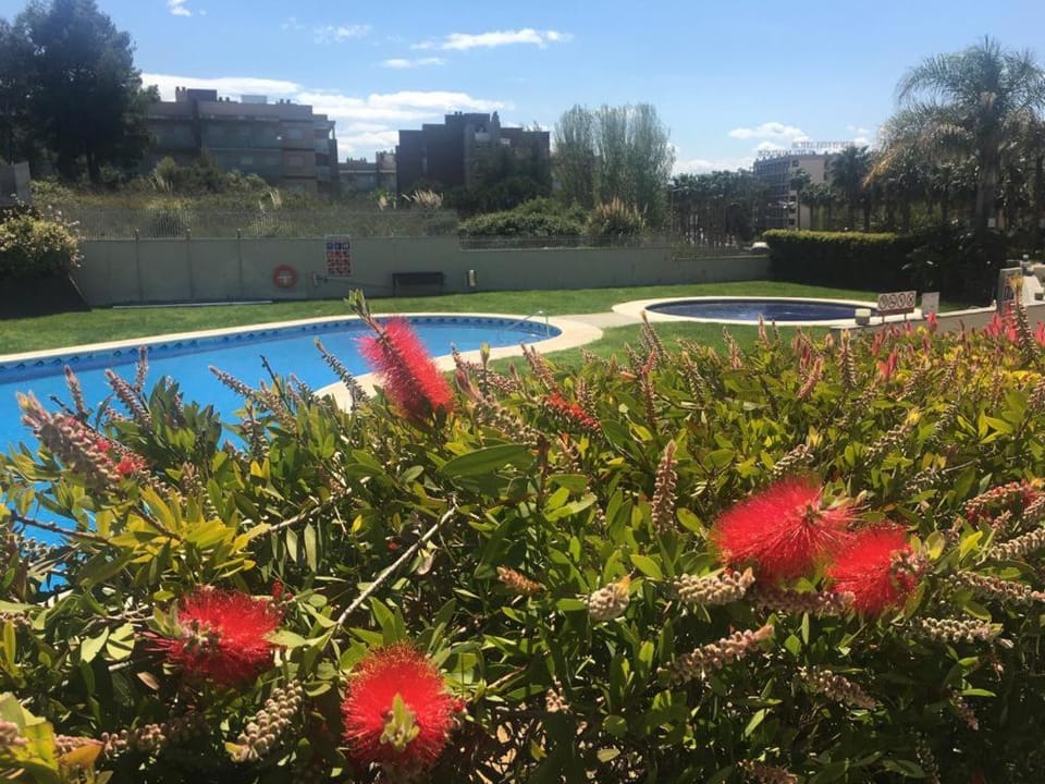 Natural landscape, Garden, Garden view, Pool view, Swimming pool