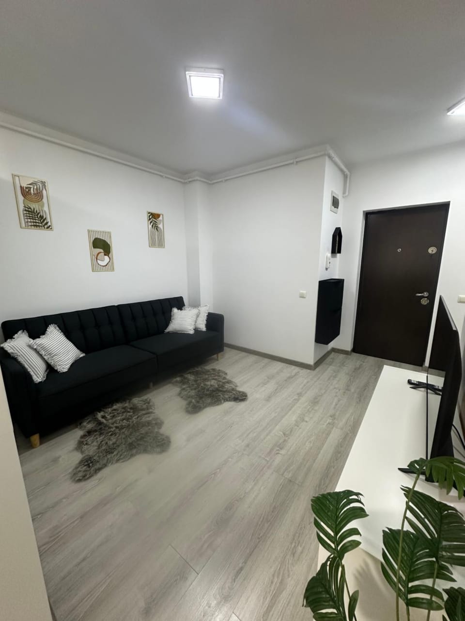 FLH - Olive Apartment Apartment in Sibiu