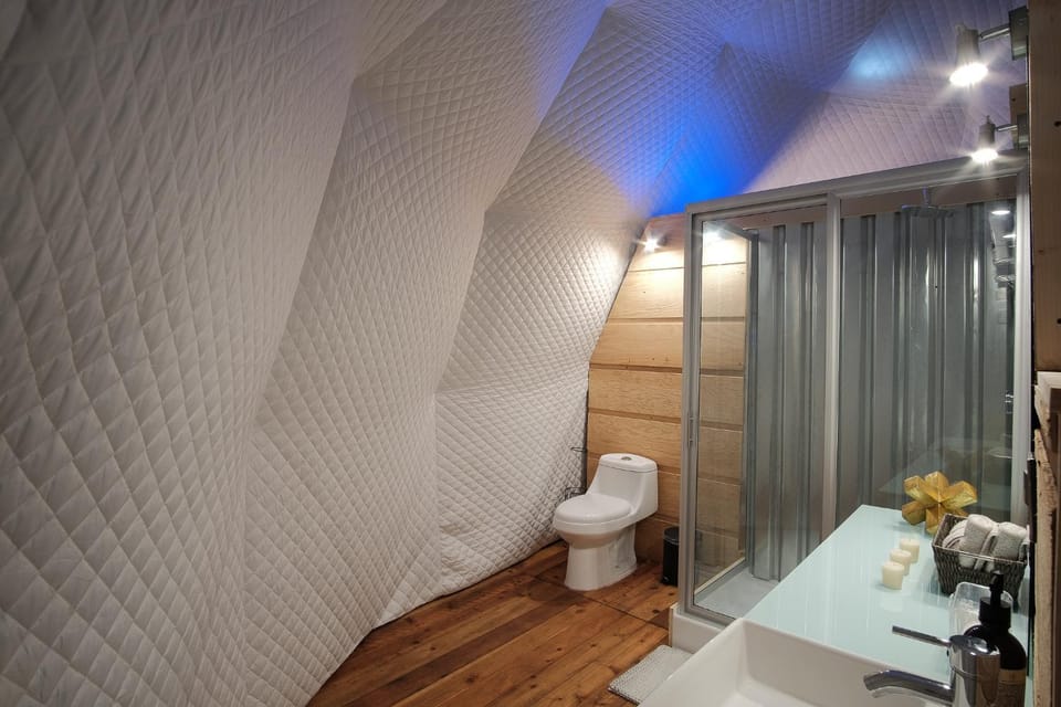 Shower, Toilet