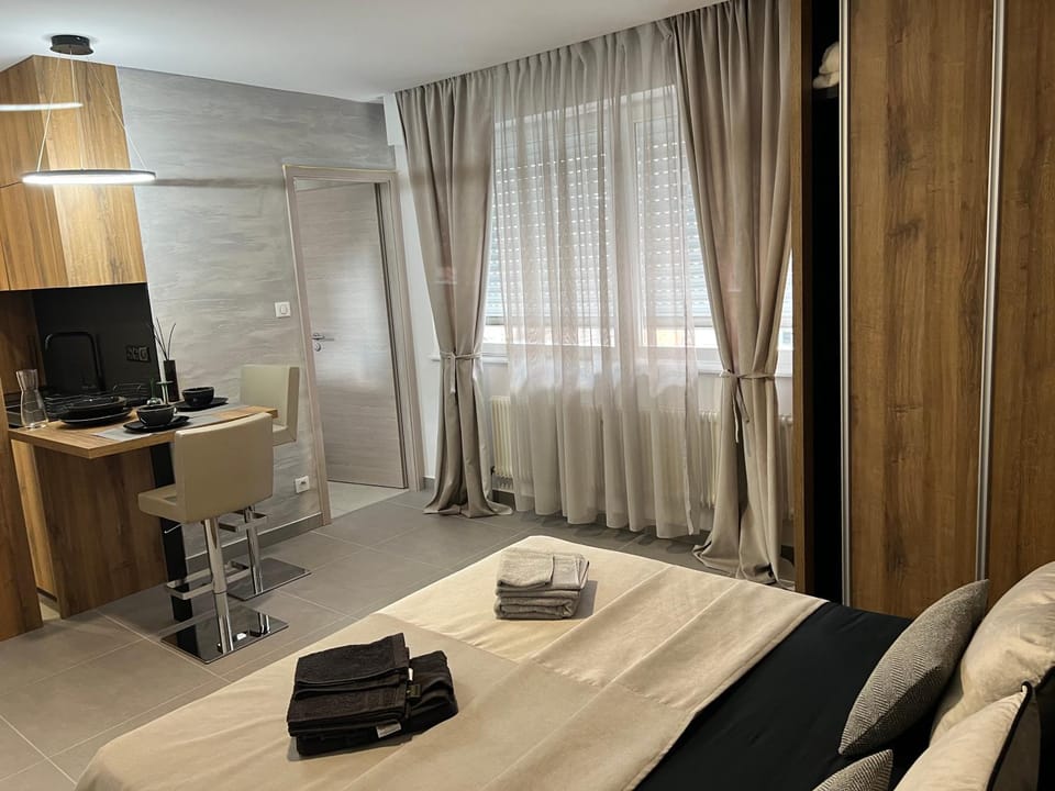 MISIC HOME Apartment in Colmar