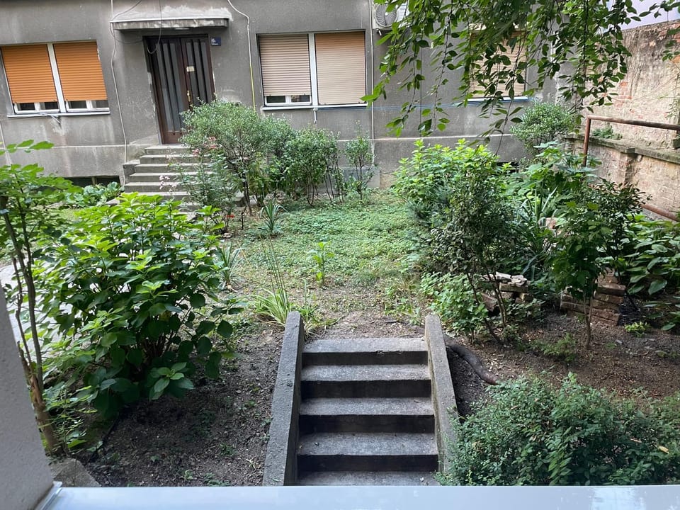 Garden view