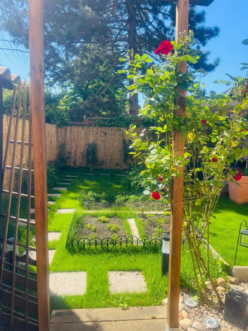 Garden, Balcony/Terrace