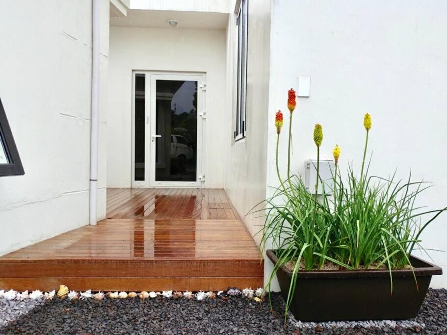 A shell in Jeju House in South Korea