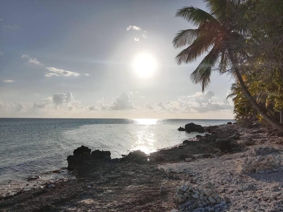 Natural landscape, Sea view, Sunset