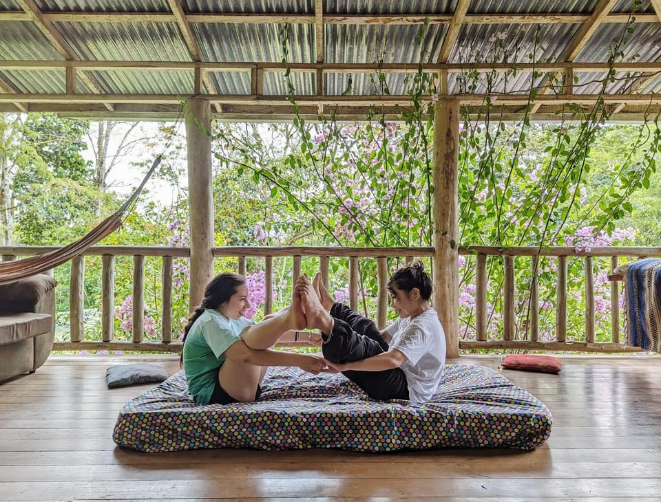 Day, People, View (from property/room), Balcony/Terrace, Living room, Seating area, Garden view, group of guests