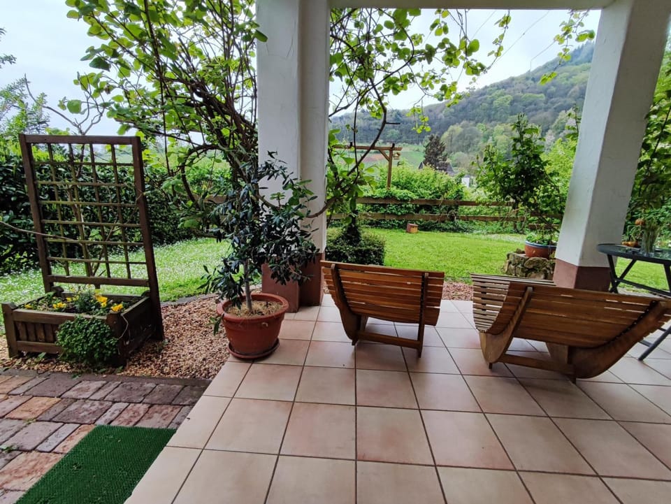 Spring, Garden, Mountain view