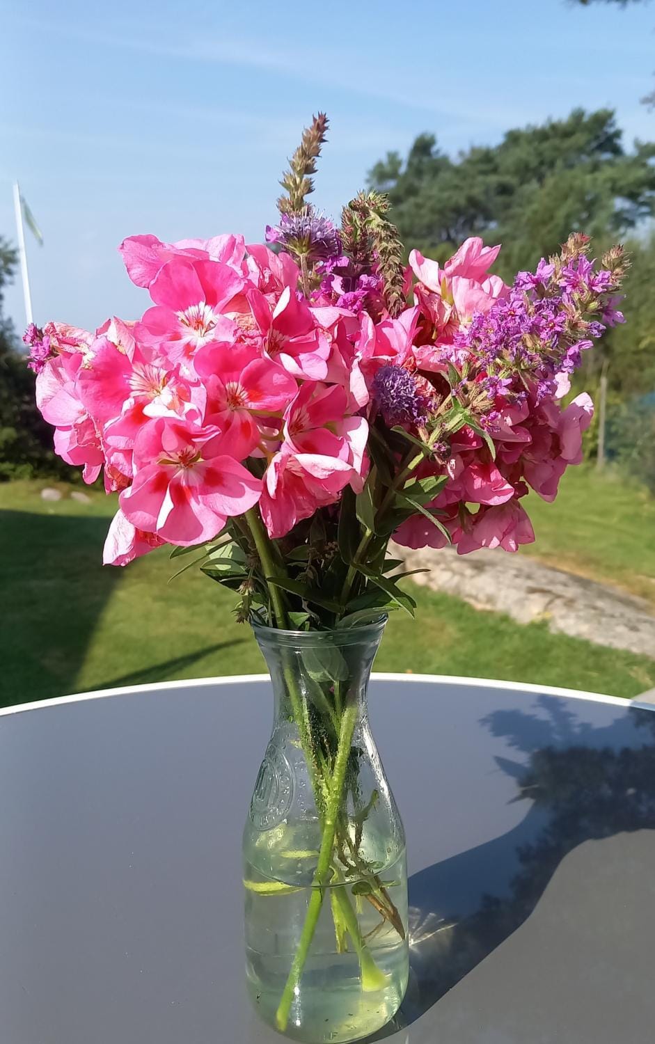 Garden view
