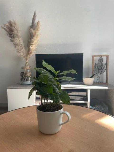 Appartement calme au cœur de la ville Apartment in Jura