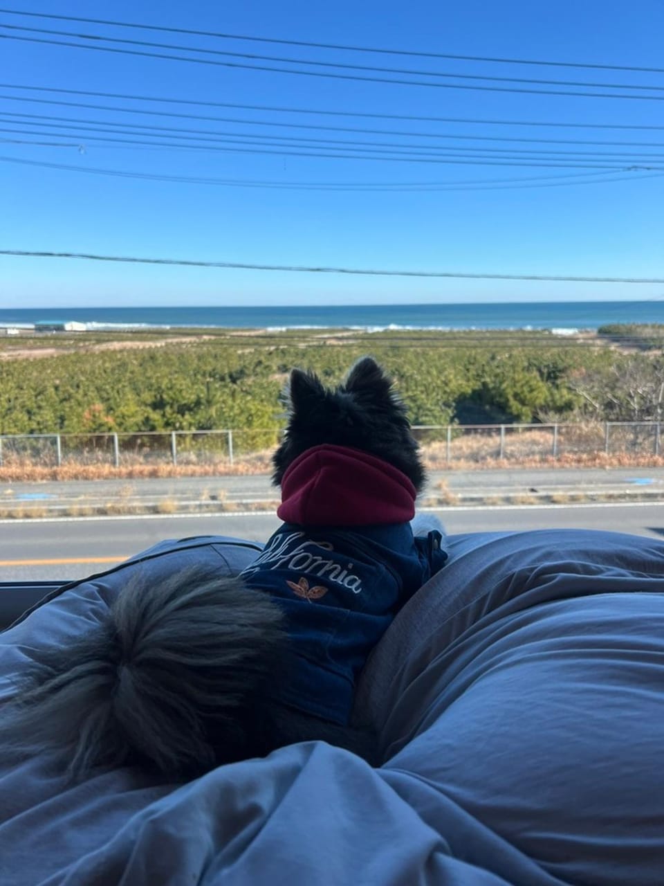 View (from property/room)