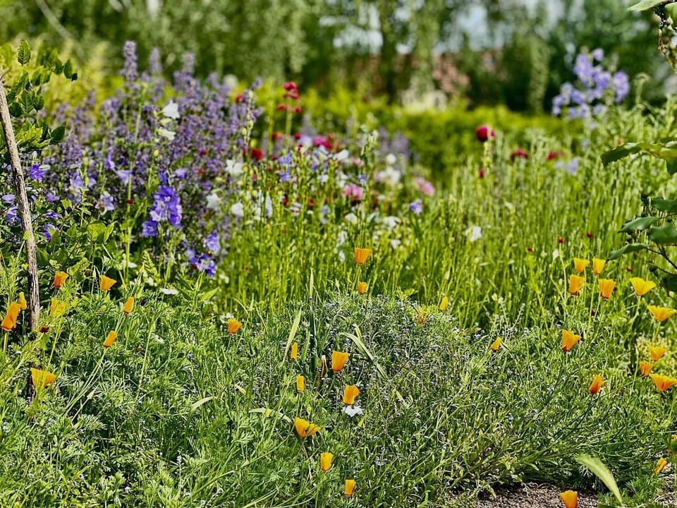 Spring, Natural landscape, Garden, Garden view