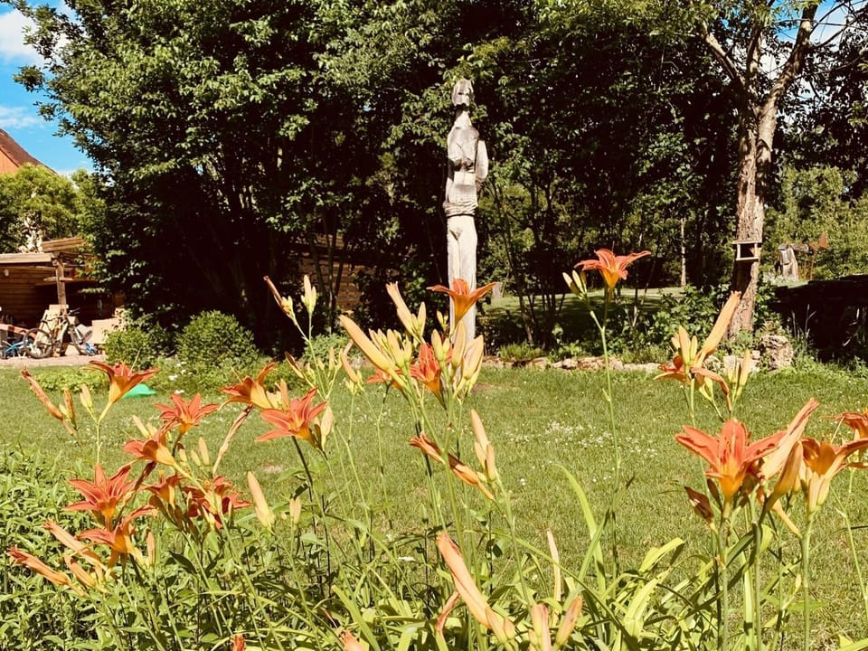 Natural landscape, Garden, Garden view