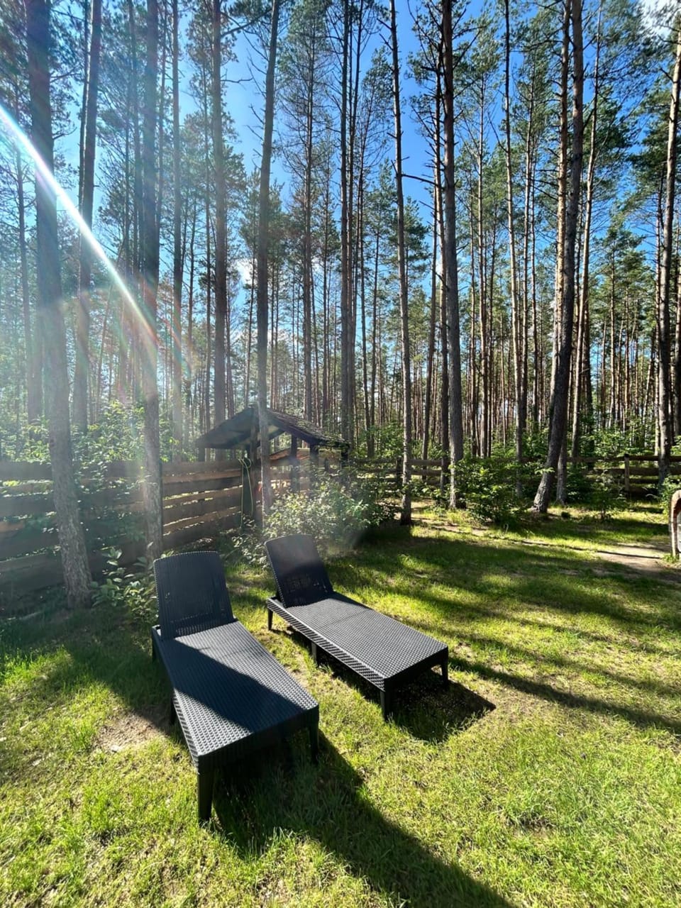 Domek lubiana180 SCANDI wśród drzew JACUZZI SAUNA KOMiNEK i TARAS na dachu jezioro Kaszuby Pieski tylko do 10kg za dodatkową opłatą House in Pomeranian Voivodeship
