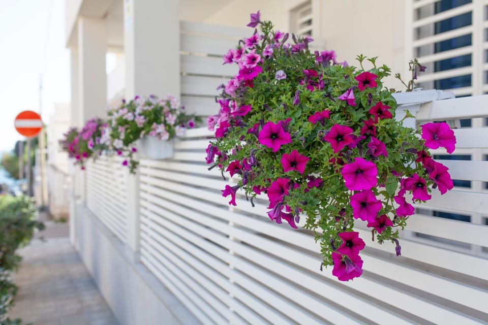 Dimora Nesea Bed and Breakfast in Apulia