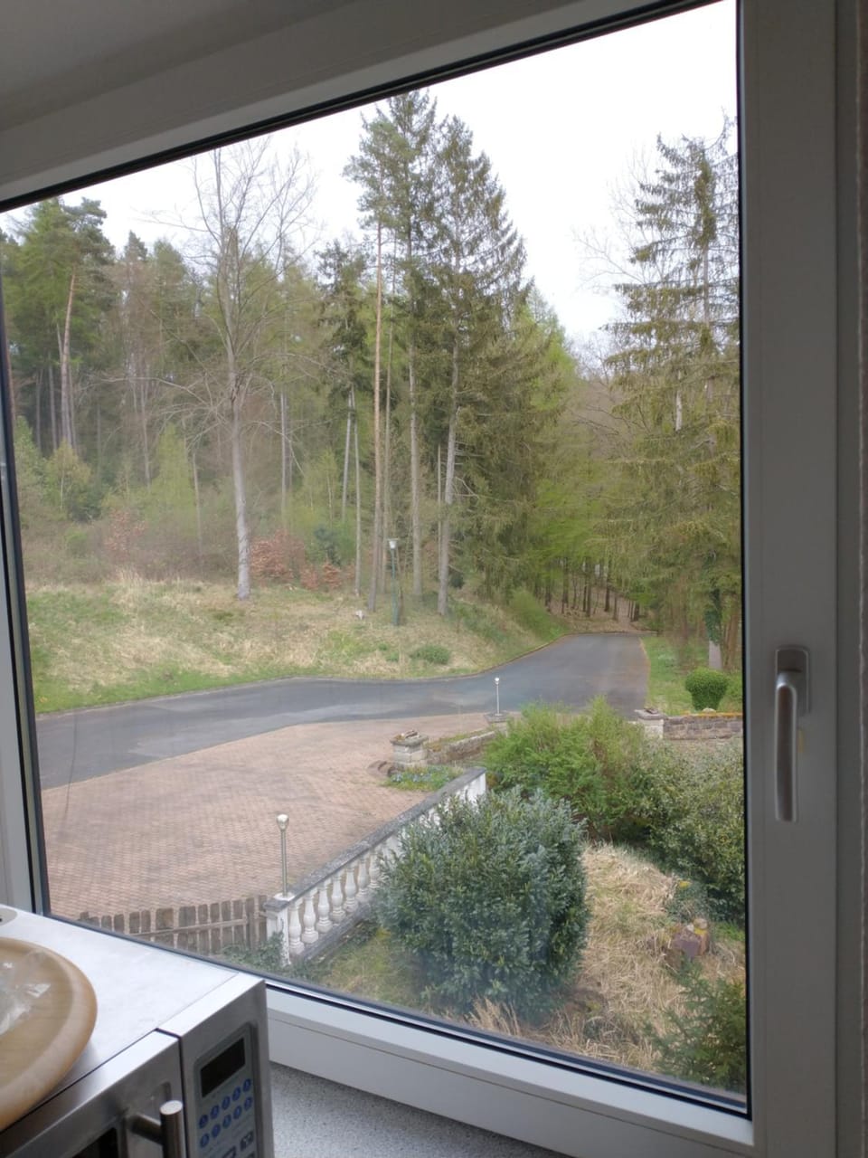 Garden view