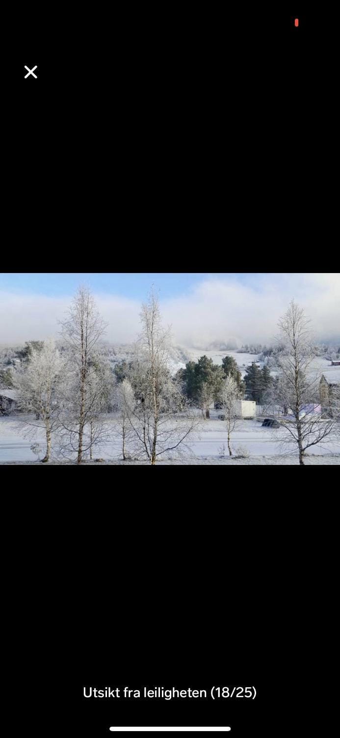 Bjorli Apartment with everything, 150m from ski lift Apartment in Trondelag