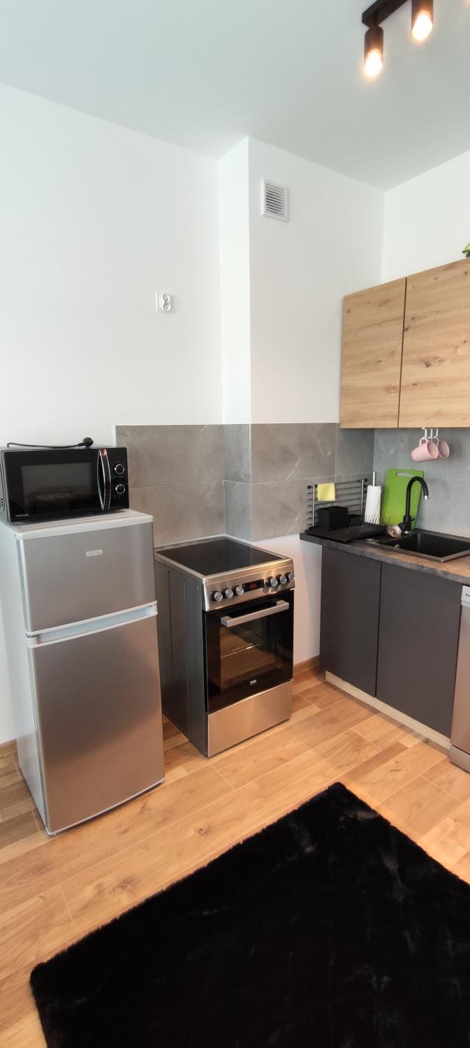 Apartament Stylowy nr 9 Apartment in Poznan