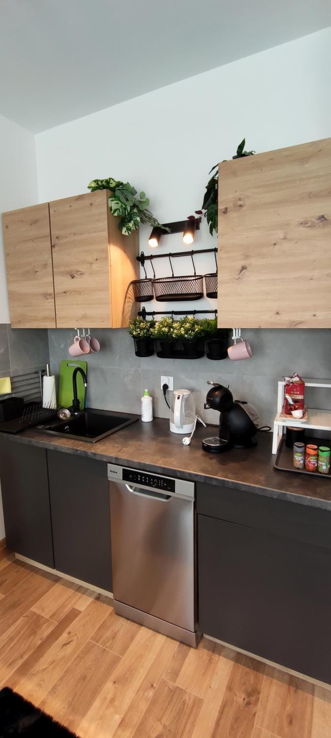 Apartament Stylowy nr 9 Apartment in Poznan