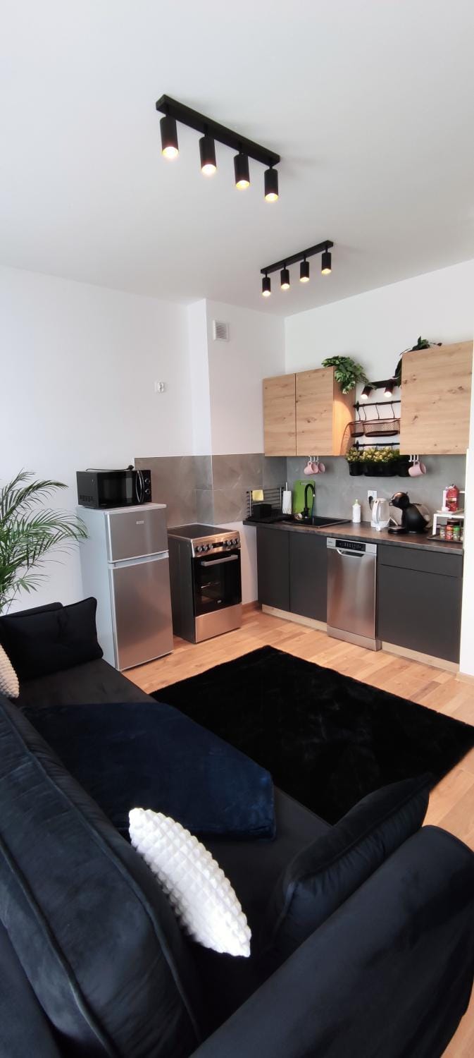 Apartament Stylowy nr 9 Apartment in Poznan