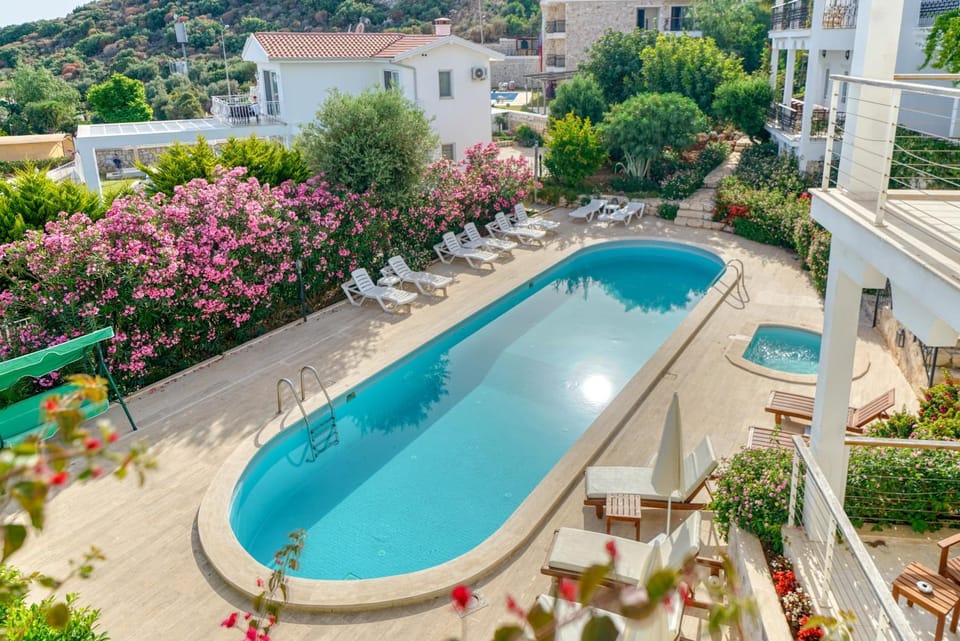 Pool view, Swimming pool
