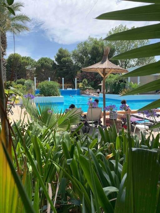 Natural landscape, Swimming pool, sunbed