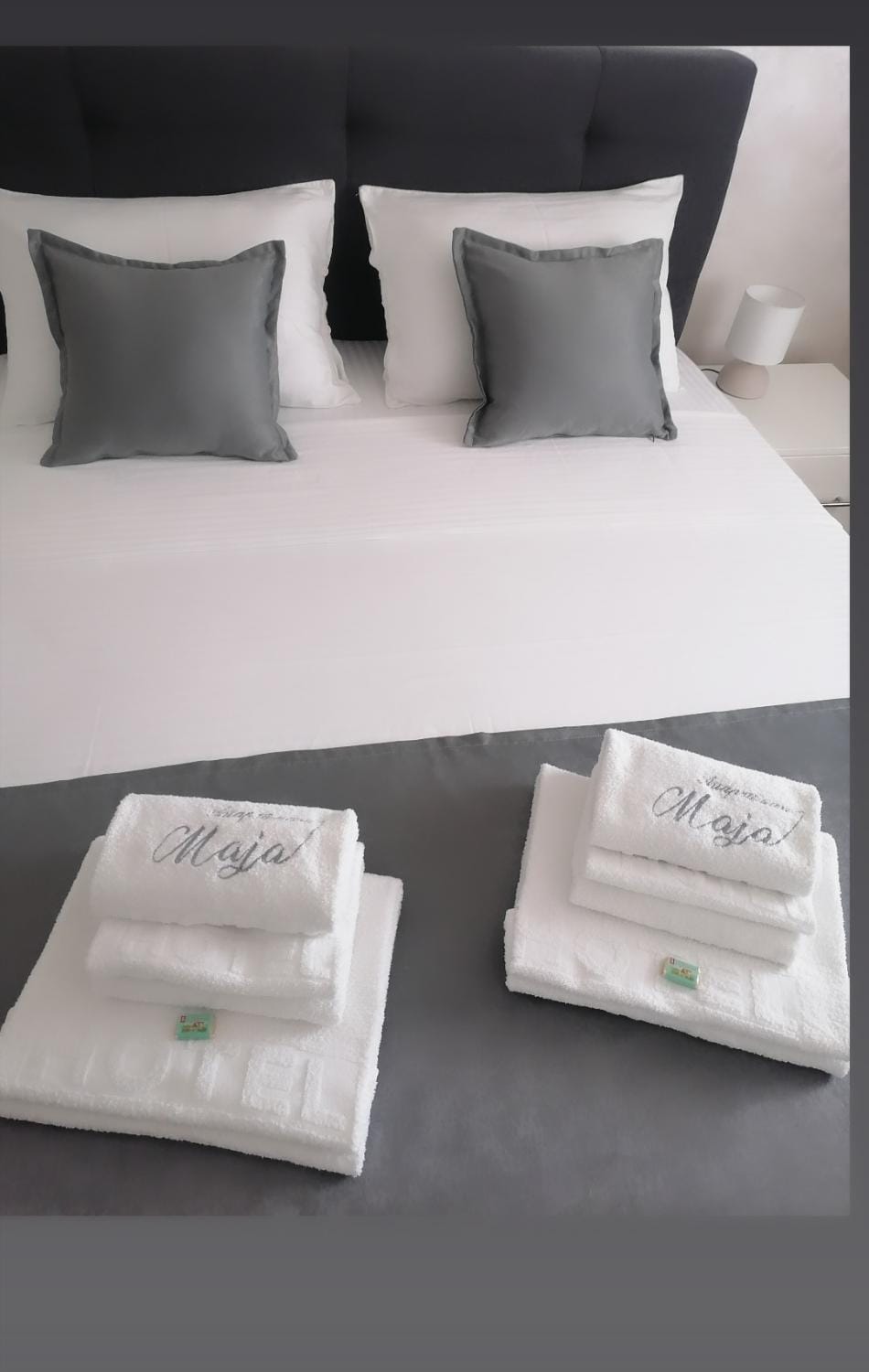 Apartman Maja Apartment in Vojvodina