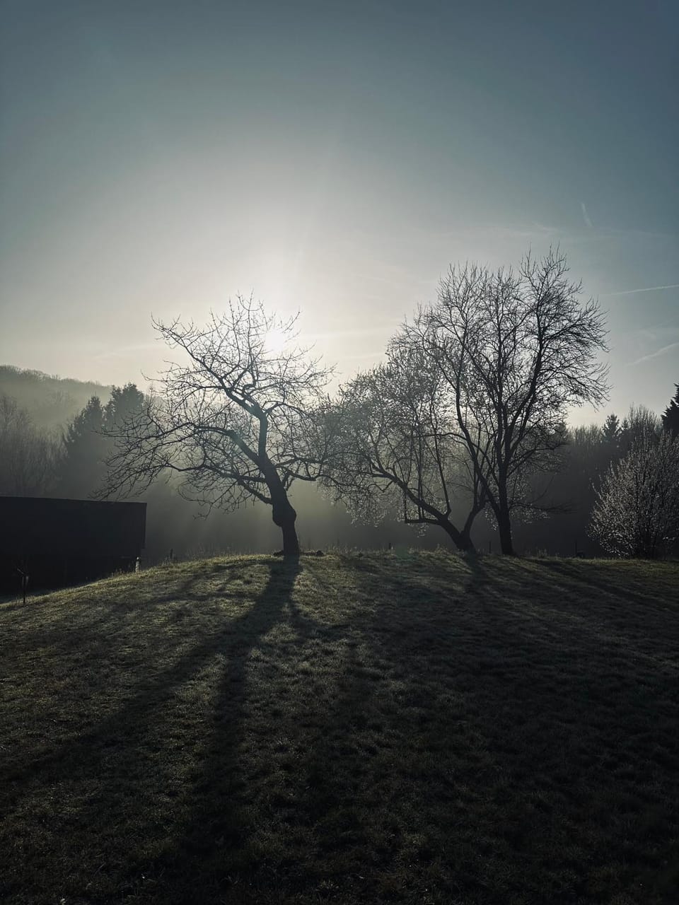 Les deux chambres au dessus de la colline Vacation rental in Wallonia, Belgium