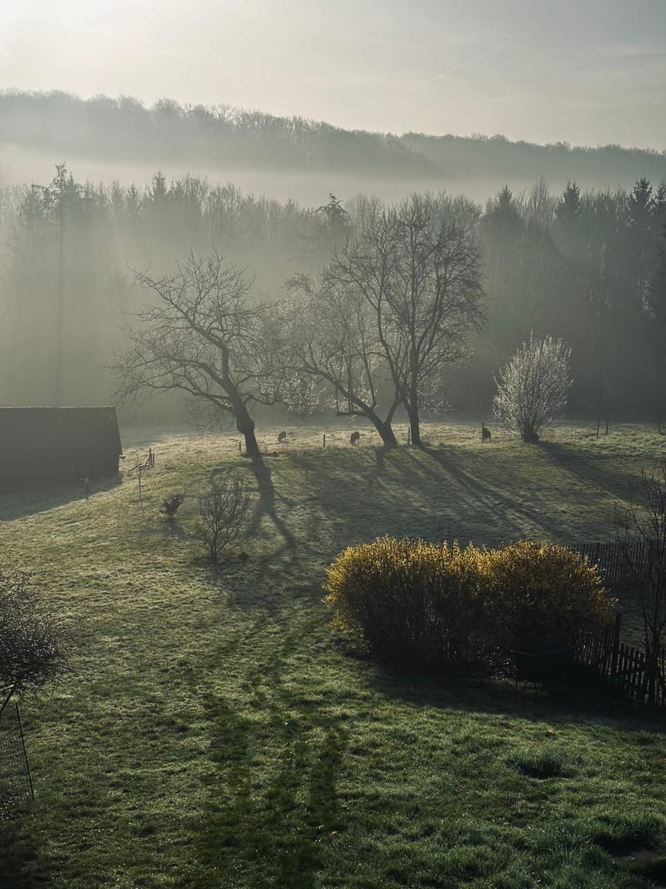 Les deux chambres au dessus de la colline Vacation rental in Wallonia, Belgium
