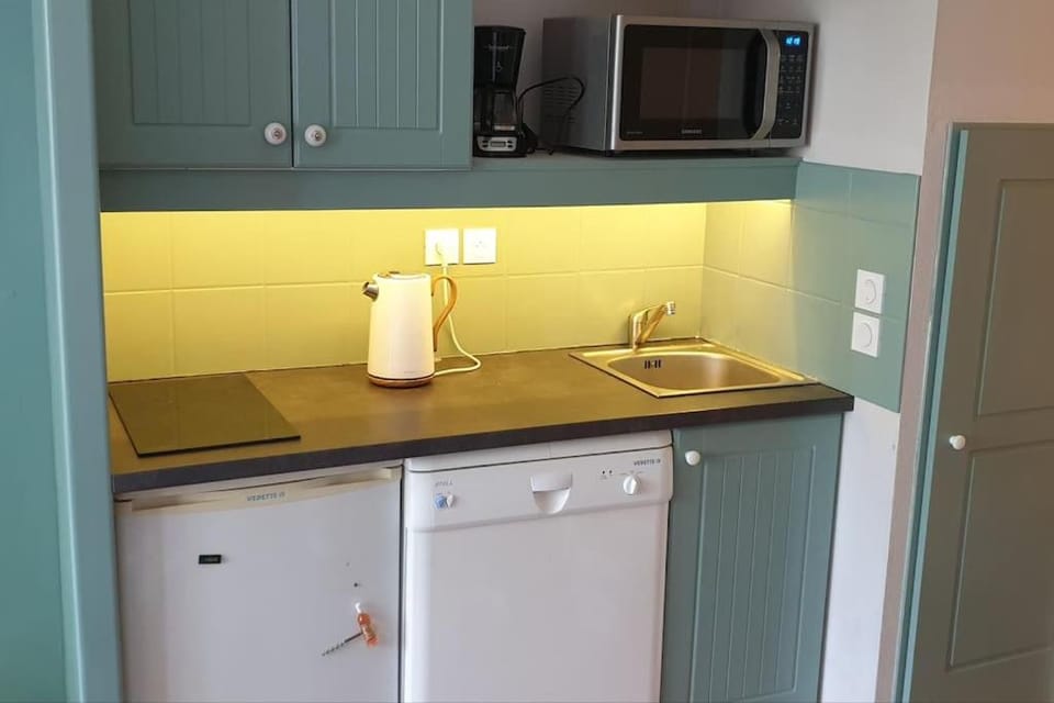 Kitchen or kitchenette, dishwasher, minibar, pet friendly, stove